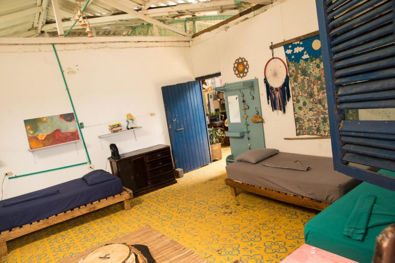 Hostal La Mariapolis Некоклі Екстер'єр фото
