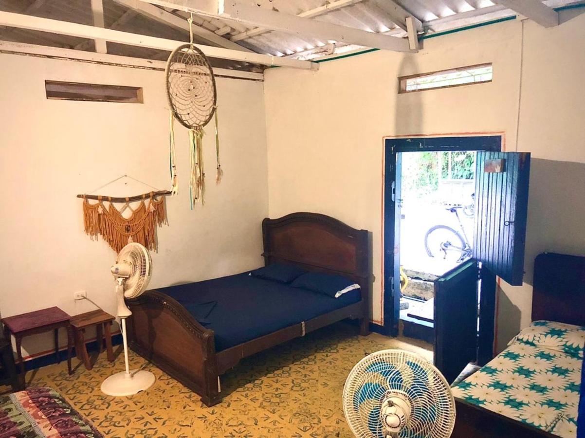 Hostal La Mariapolis Некоклі Екстер'єр фото