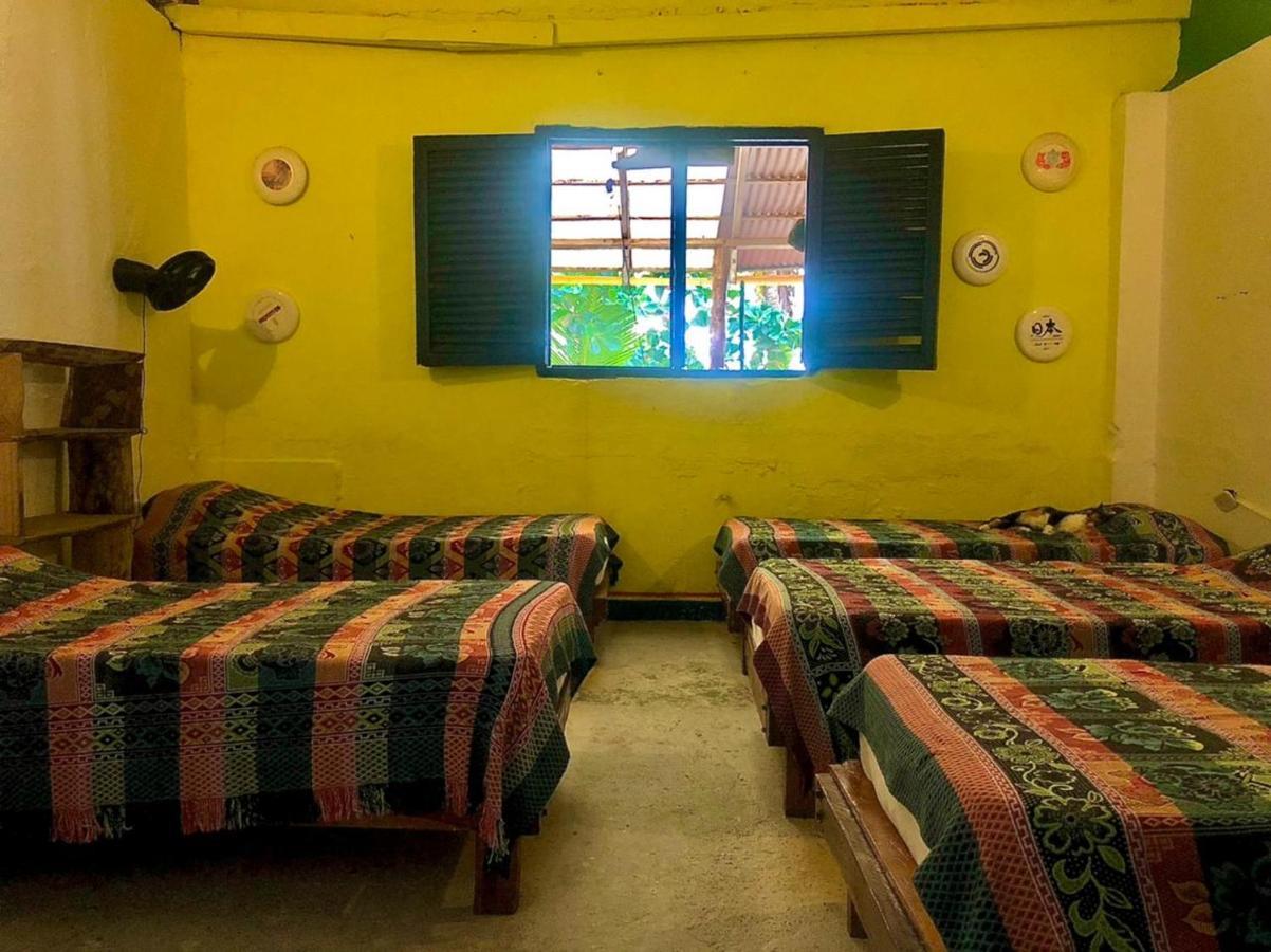 Hostal La Mariapolis Некоклі Екстер'єр фото