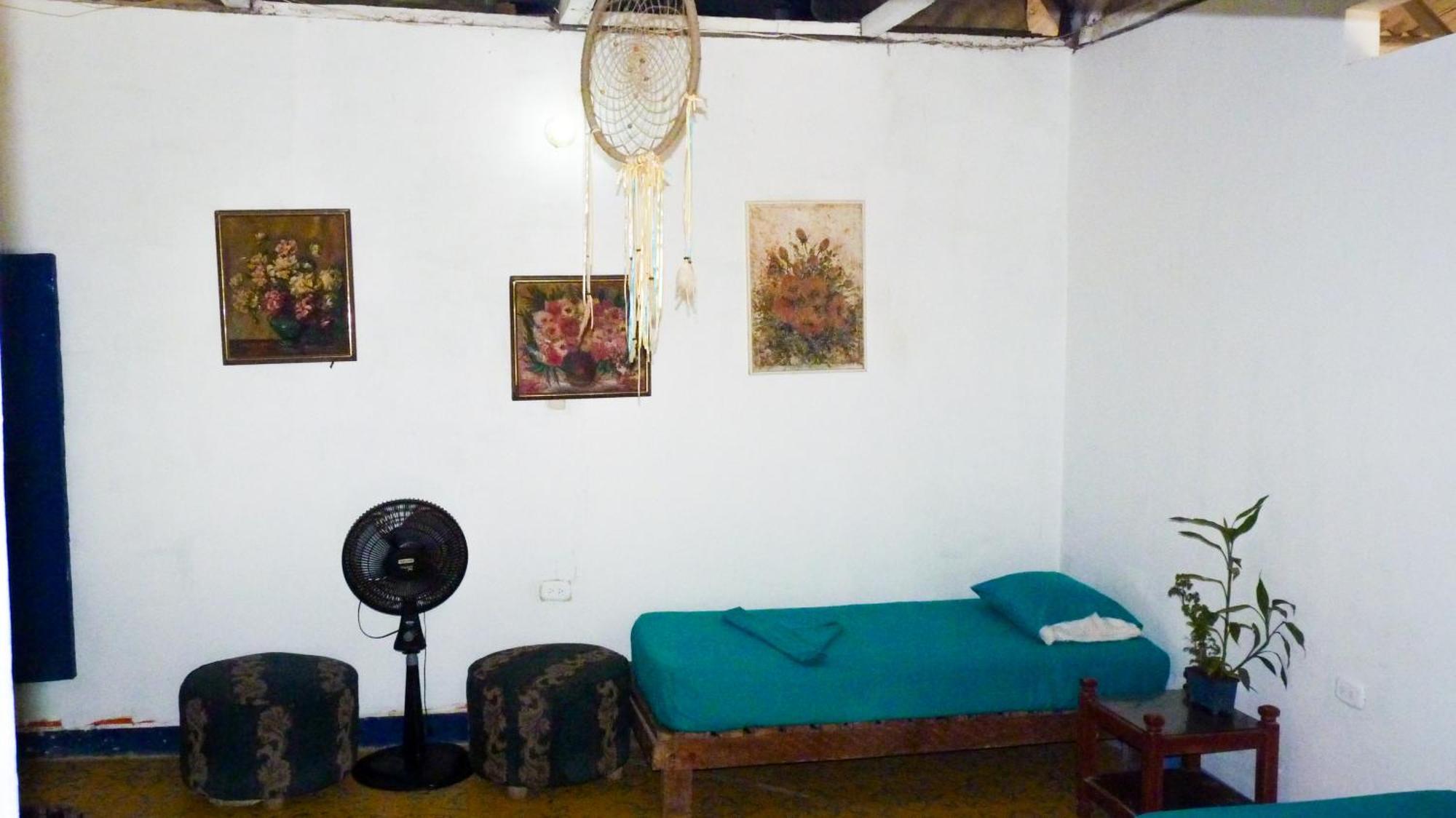 Hostal La Mariapolis Некоклі Екстер'єр фото