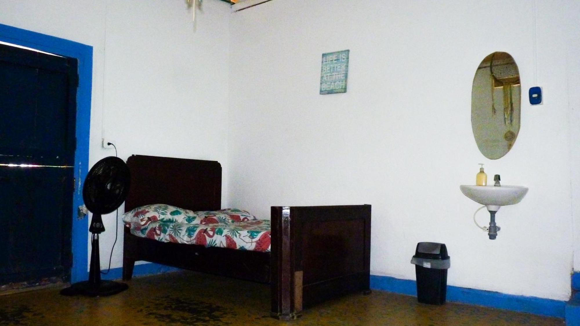 Hostal La Mariapolis Некоклі Екстер'єр фото