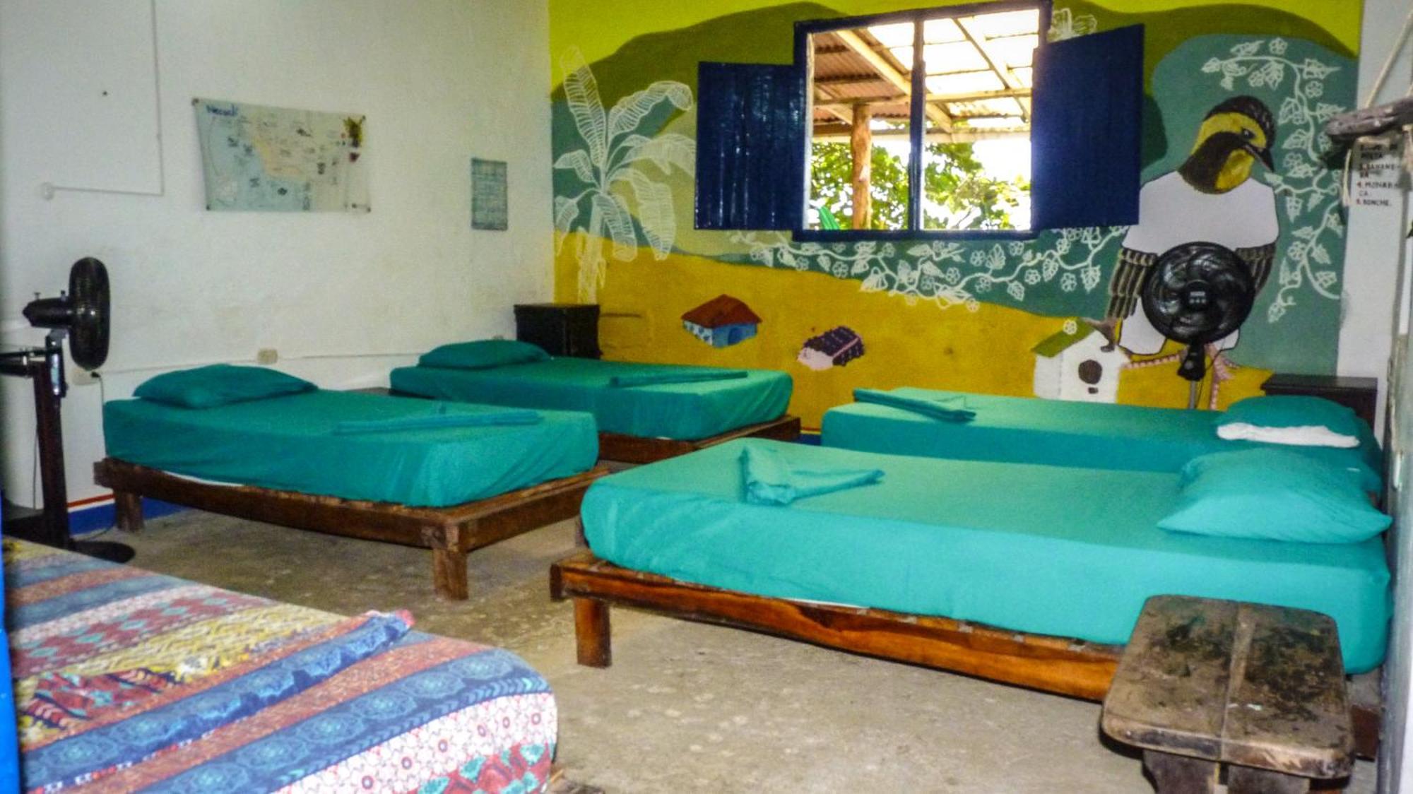Hostal La Mariapolis Некоклі Екстер'єр фото